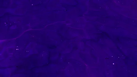 Abstract motion background shining colorful particles. Stock Footage 256389396