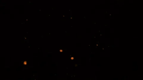 Abstract motion background shining gold particles. Shimmering Glittering Stock Footage 142981049