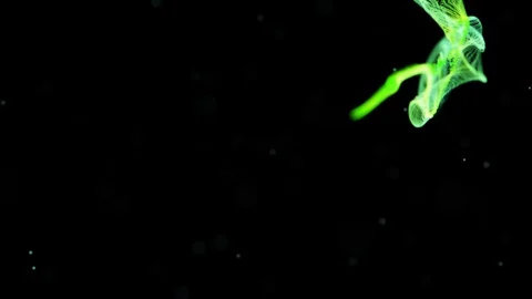 Abstract motion background shining green particles. Abstract motion background Stock Footage 121887046