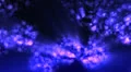 Abstract motion background, shining light, rays, particles,and energy waves. HD Footage