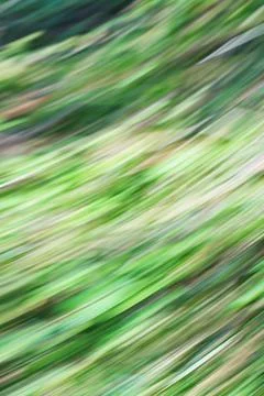 An abstract, motion-based pattern of green stripes that creates a sense of .. Foto stock