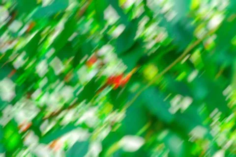 Abstract motion blur effect background. Shot on long exposure. 库存照片