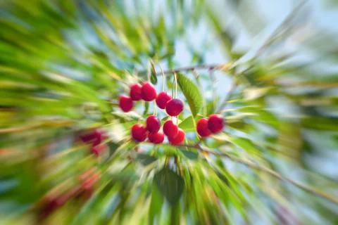 Abstract motion blur effect background. Shot on long exposure. Stock-Fotos