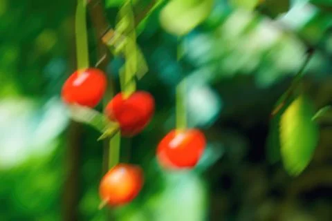 Abstract motion blur effect background. Shot on long exposure. 库存照片