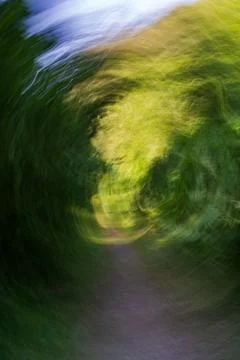 Abstract motion blur effect creates swirling vortex of green foliage and path Фото