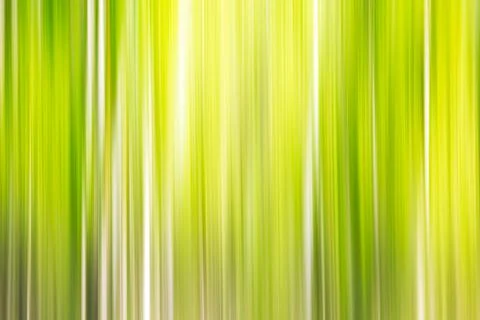 Abstract motion blur spring summer green forest sunny texture background Foto stock