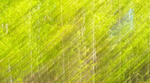 Abstract motion blur spring summer green forest sunny texture background Foto stock