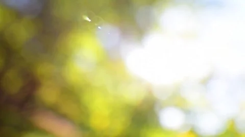 Abstract motion blur with sun rays Stock Footage 81300812