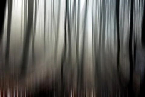 Abstract motion blur of trees in a forest イラスト素材