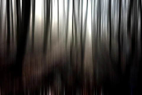 Abstract motion blur of trees in a forest イラスト素材