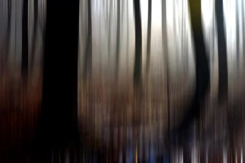 Abstract motion blur of trees in a forest イラスト素材