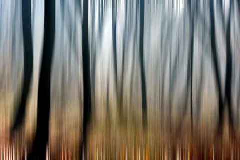 Abstract motion blur of trees in a forest Stock Illustration