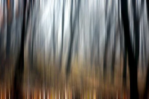 Abstract motion blur of trees in a forest イラスト素材