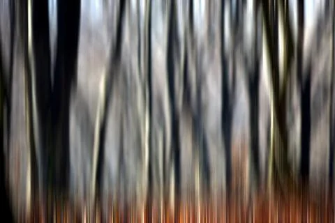 Abstract motion blur of trees in a forest イラスト素材