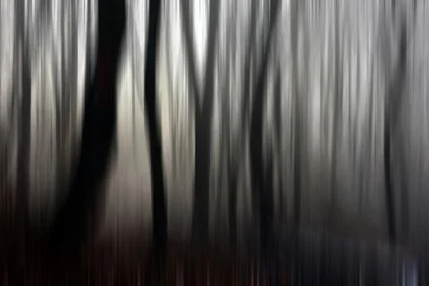 Abstract motion blur of trees in a forest イラスト素材