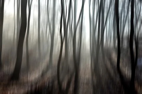Abstract motion blur of trees in a forest イラスト素材