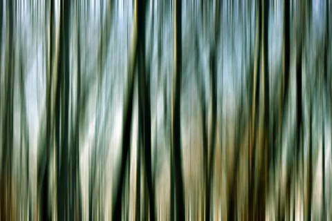 Abstract motion blur of trees in a forest イラスト素材