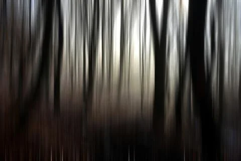 Abstract motion blur of trees in a forest イラスト素材