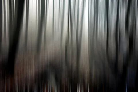 Abstract motion blur of trees in a forest イラスト素材