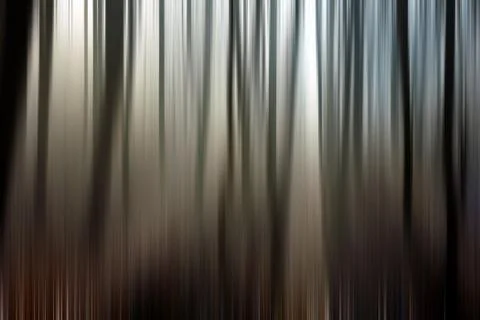 Abstract motion blur of trees in a forest イラスト素材