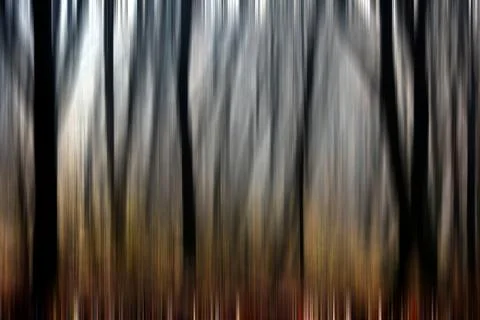 Abstract motion blur of trees in a forest イラスト素材