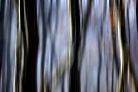 Abstract motion blur of trees in a forest イラスト素材