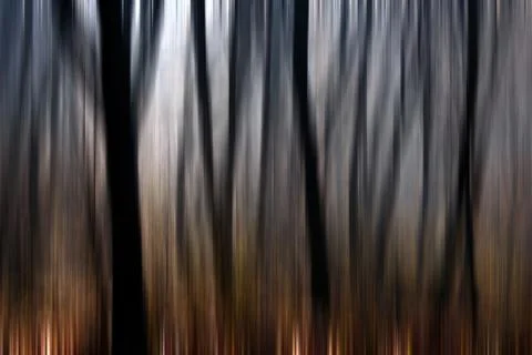 Abstract motion blur of trees in a forest イラスト素材