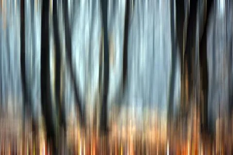 Abstract motion blur of trees in a forest イラスト素材