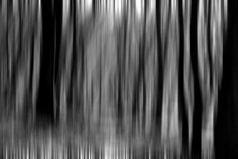 Abstract motion blur of trees in a forest Stock Illustration