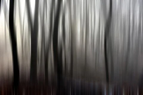 Abstract motion blur of trees in a forest イラスト素材