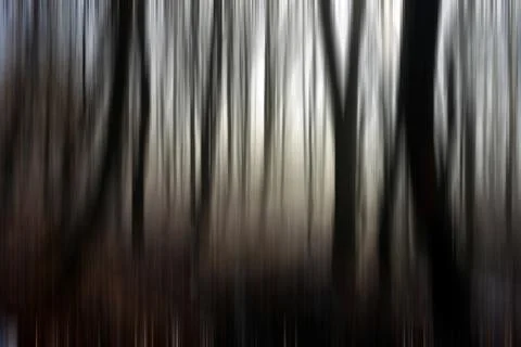 Abstract motion blur of trees in a forest Stock Illustration