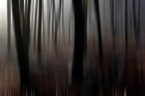Abstract motion blur of trees in a forest イラスト素材