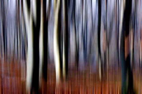 Abstract motion blur of trees in a forest イラスト素材