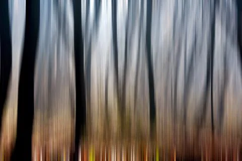 Abstract motion blur of trees in a forest Stock Illustration