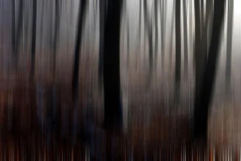Abstract motion blur of trees in a forest イラスト素材