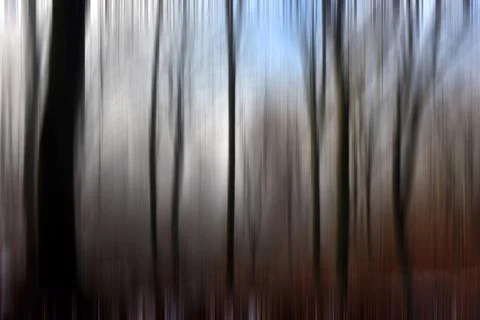 Abstract motion blur of trees in a forest イラスト素材
