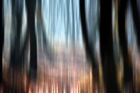 Abstract motion blur of trees in a forest イラスト素材