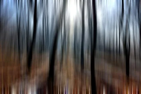 Abstract motion blur of trees in a forest イラスト素材