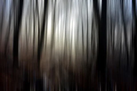 Abstract motion blur of trees in a forest イラスト素材