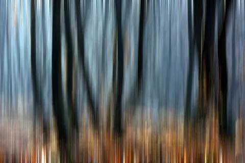 Abstract motion blur of trees in a forest イラスト素材