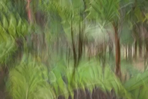 Abstract motion blur, trees trunk &amp; leave, yellow green background Stock Photos