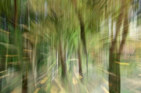 Abstract motion blur, trees trunk &amp; leave, yellow green background Stock Photos