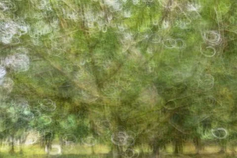 Abstract motion blur, trees trunk &amp; leave, yellow green background Stock Photos