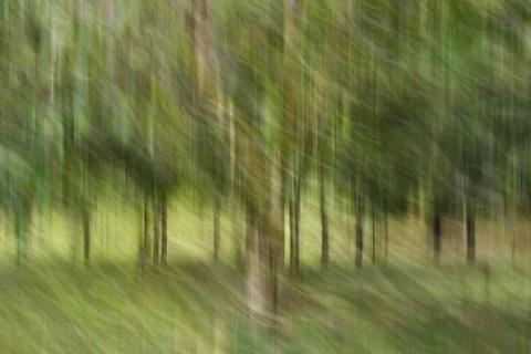 Abstract motion blur, trees trunk &amp; leave, yellow green background Stock Photos