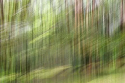 Abstract motion blur, trees trunk &amp; leave, yellow green background Stock Photos