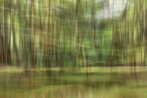 Abstract motion blur, trees trunk &amp; leave, yellow green background Stock Photos