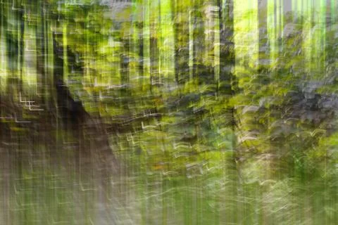 Abstract motion blur, trees trunk &amp; leaves, yellow green background Stock Photos