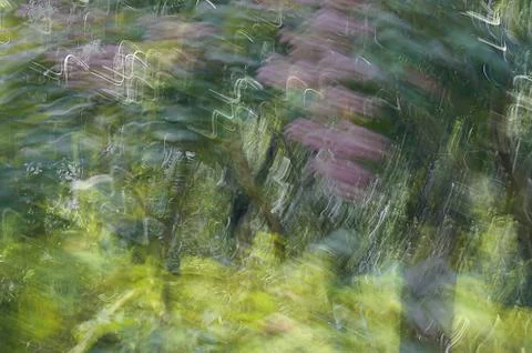 Abstract motion blur, trees trunk &amp; leave, yellow green background Stock Photos