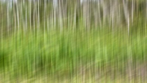 Abstract motion blur, trees trunk &amp; leave, yellow green background Stock Photos