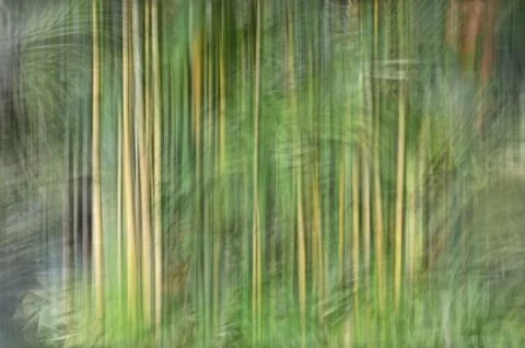 Abstract motion blur, trees trunk &amp; leave, yellow green background Stock Photos